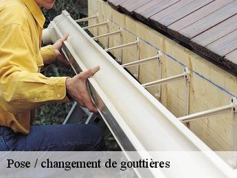 Pose / changement de gouttières  95750