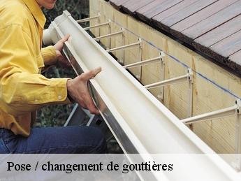 Pose / changement de gouttières 95450