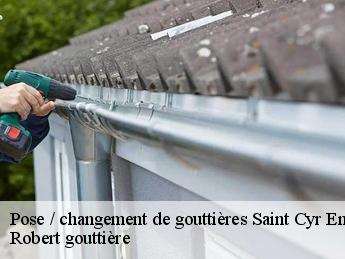 Pose / changement de gouttières 95510