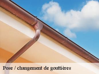 Pose / changement de gouttières