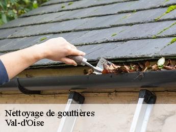 Nettoyage de gouttières