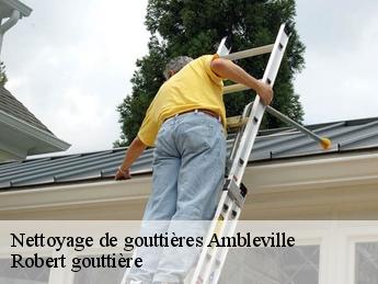 Nettoyage de gouttières  95710