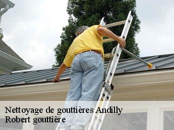 Nettoyage de gouttières  95580