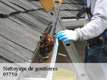 Nettoyage de gouttières  95750