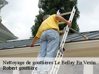 Nettoyage de gouttières  95750