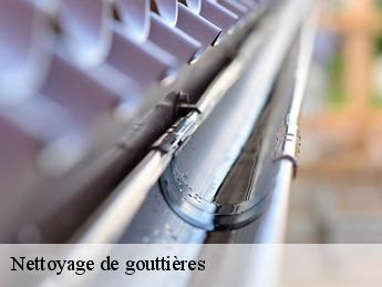 Nettoyage de gouttières  95750