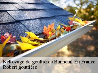 Nettoyage de gouttières  bonneuil-en-france-95500 Robert gouttière