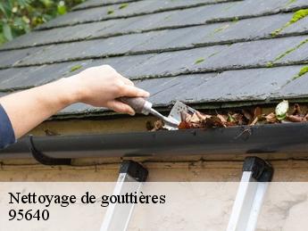 Nettoyage de gouttières