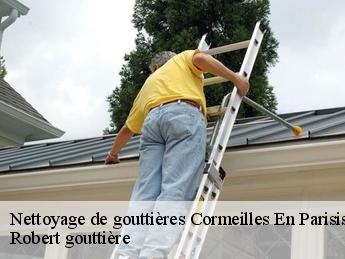 Nettoyage de gouttières  95240