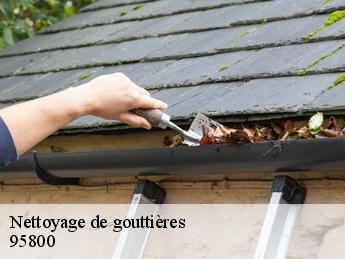 Nettoyage de gouttières