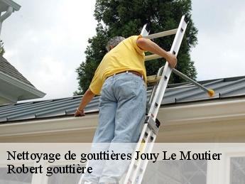 Nettoyage de gouttières 95280