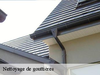 Nettoyage de gouttières