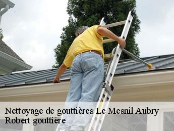 Nettoyage de gouttières 95720