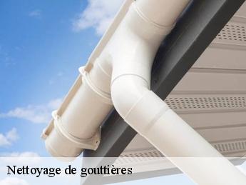 Nettoyage de gouttières