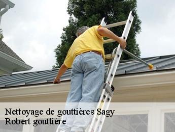 Nettoyage de gouttières 95450