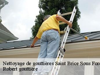 Nettoyage de gouttières 95350