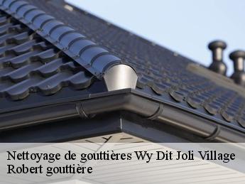 Nettoyage de gouttières