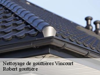 Nettoyage de gouttières